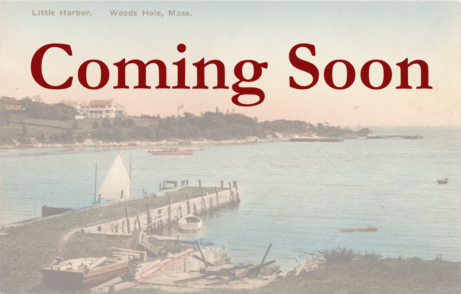 From the Archives collection